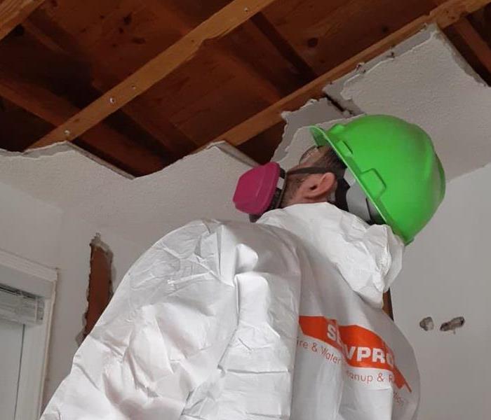 Team member wearing a protective white jumpsuit, looking up at a raw wood ceiling.