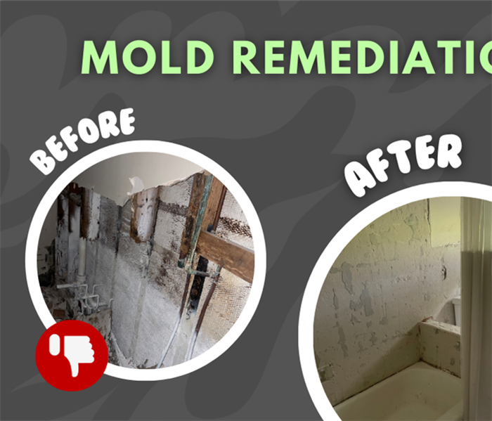 MOLD REMEDIATION