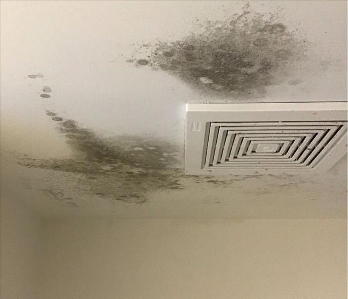 Water Damage and Molds Grew in a Coral Springs Apartment