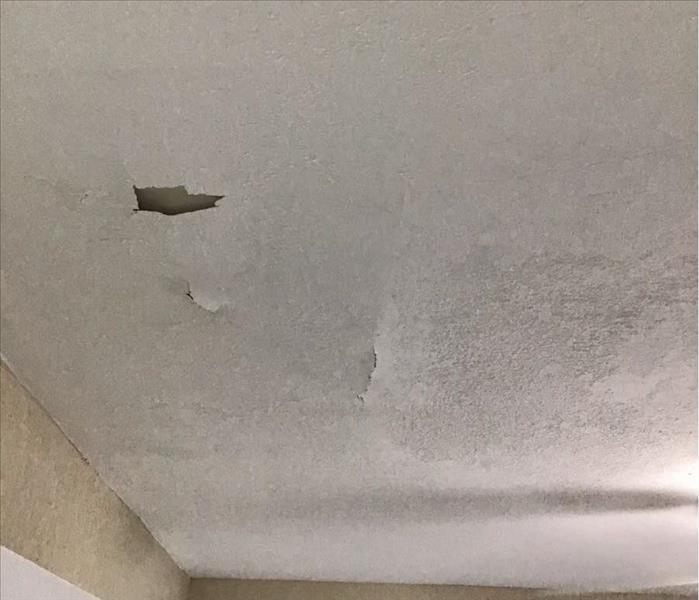 Hollywood Home had molds due to roofing damage