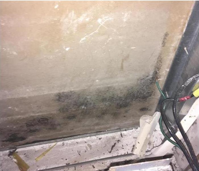 Mold growth in a home