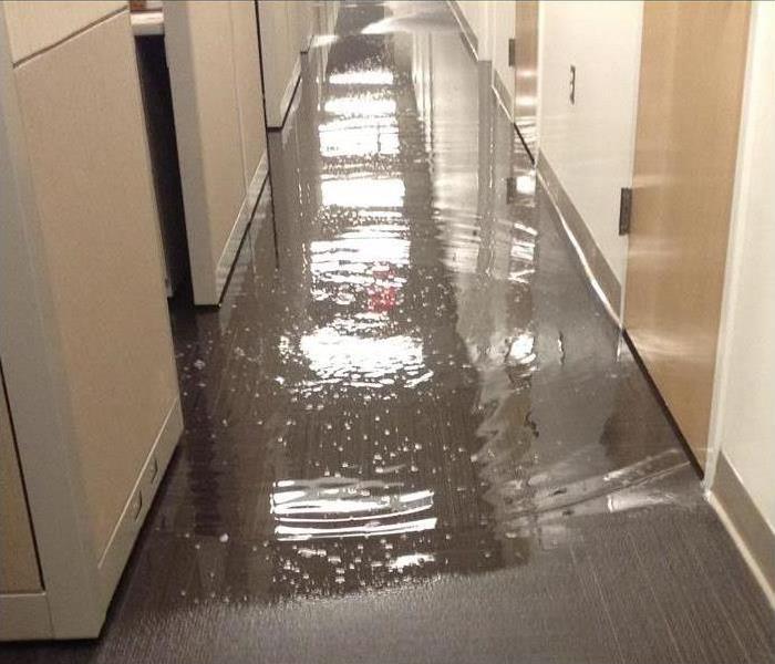 standing water on carpet in an office building