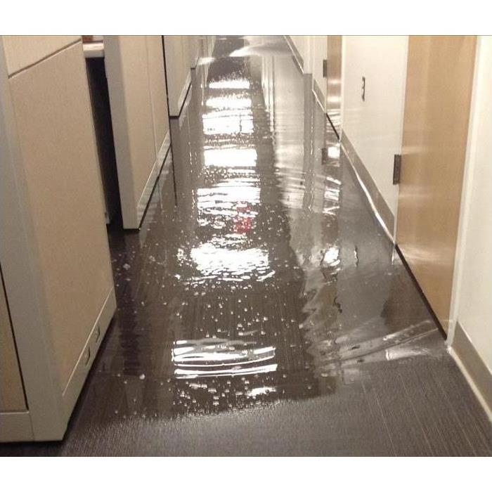 Carpet flooded in a commercial building